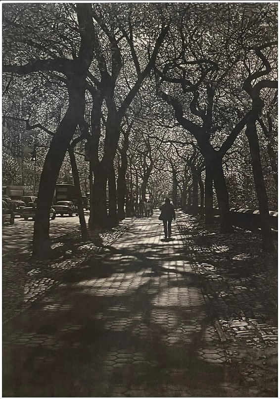 picture of person walking in Central Park