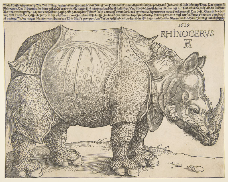 picture of an imaginary rhinoceros