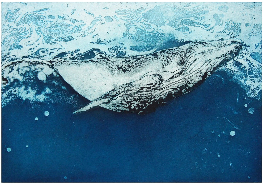 picture of a whale