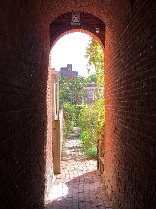 picture of a brick alley
