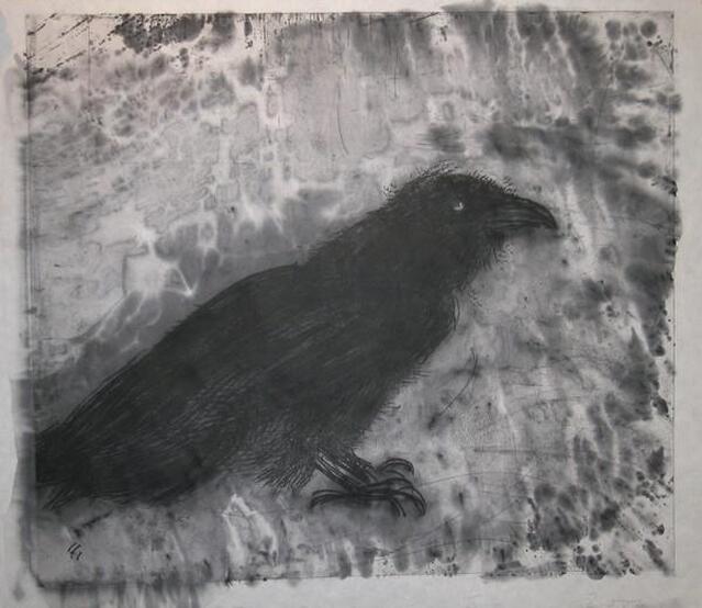 Picture of a raven
