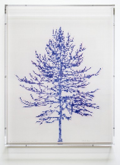picture of a blue tree