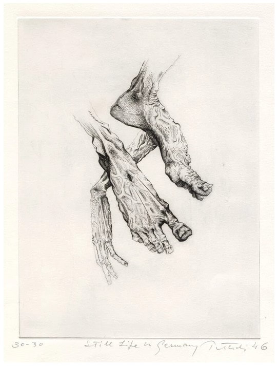 Fine Art Print Nude Male Study Photograph ~ Eva Mueller ~ 8x8 Inches ~ 
