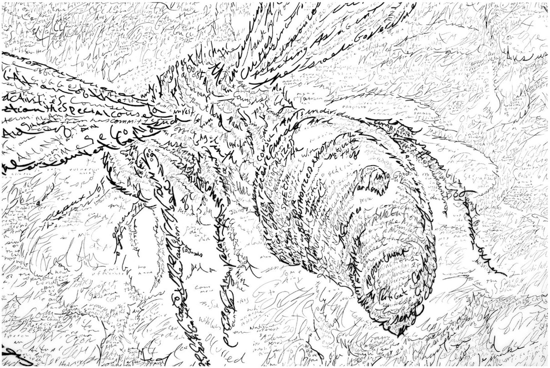 Picture of Mike Waugh's drawing of a wasp